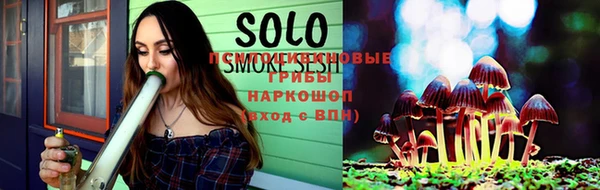 spice Арсеньев
